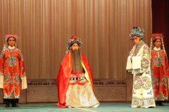 【大众日报】主力阵容上阵！青岛演艺集团京剧院上演大戏《龙凤呈祥》